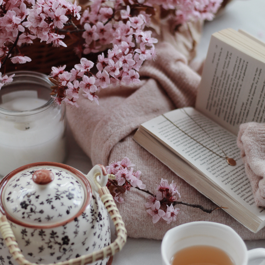 Cozy Mystery Books | The Curated Shelf
